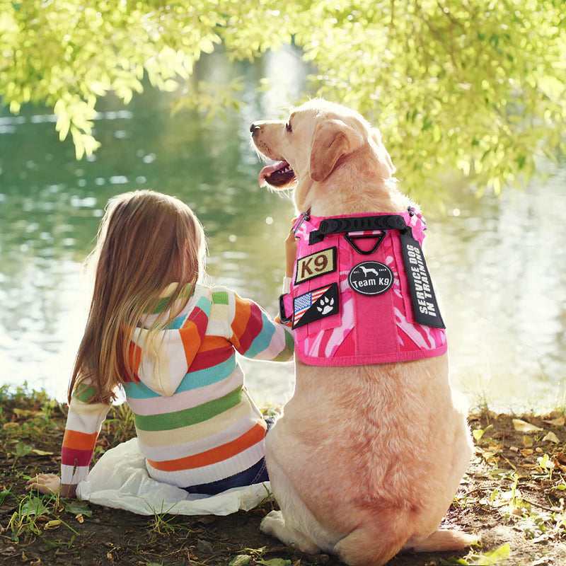 Améliorez votre quotidien dès aujourd’hui !